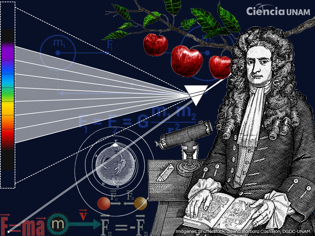 Isaac Newton: la rama de la ciencia que exploró