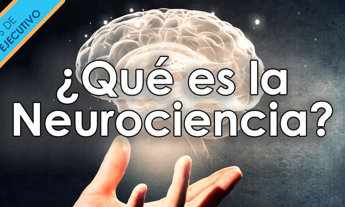 Neurociencia Para Todos: Descubre Sus Beneficios En Tu Día A Día